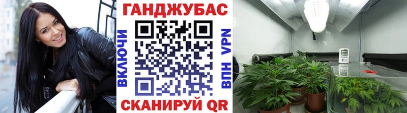Бошки Шишки план Лениногорск